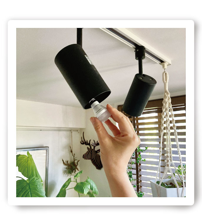 写真：投稿写真