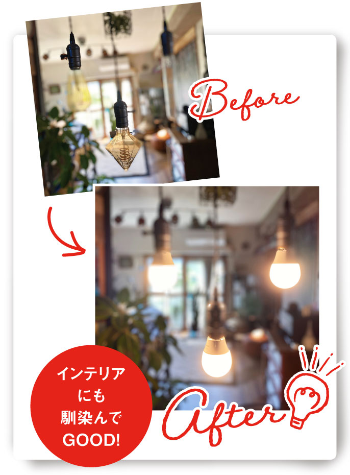 写真：投稿写真