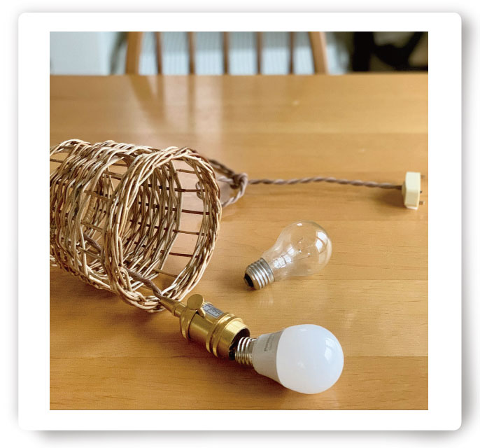 写真：投稿写真