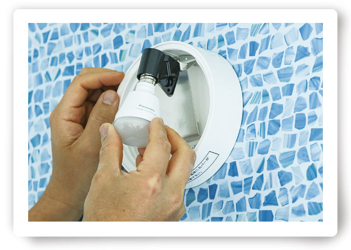 写真：投稿写真