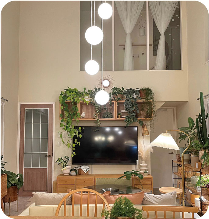 写真：投稿写真