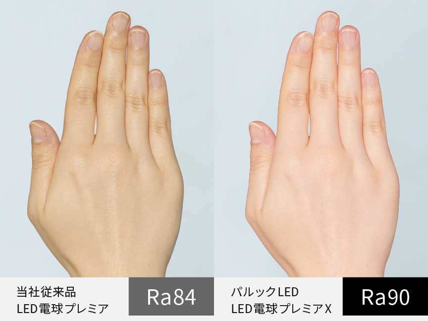 写真：手の比較