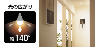 画像：光の広がり約140°
