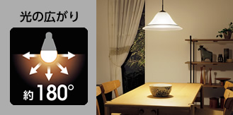画像：光の広がり約180°