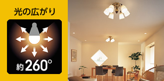 画像：光の広がり約260°