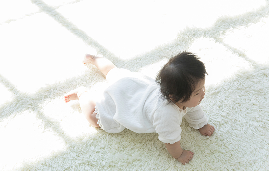 写真：部屋のなかをハイハイする赤ちゃん