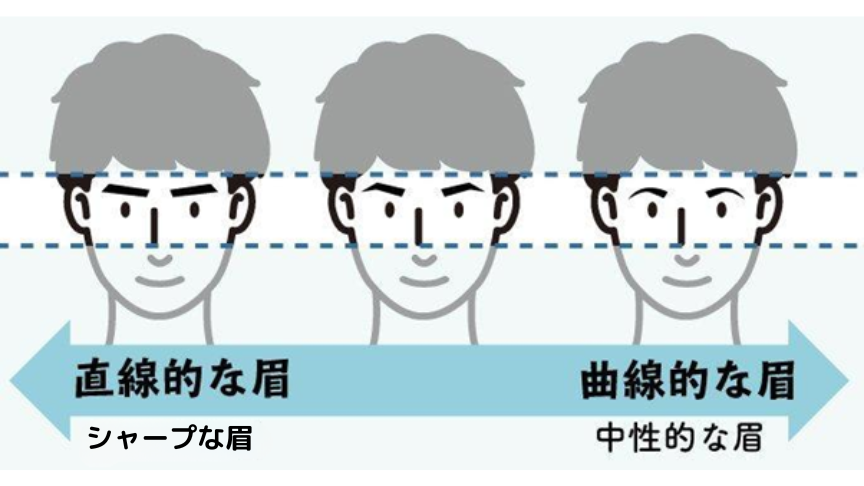 直線的な眉（男性的な眉）⇔曲線的な眉（中性的な眉）の顔のイラスト