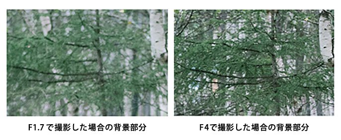 写真：左 F1.7で撮影した場合の背景部分　右 F4で撮影した場合の背景部分