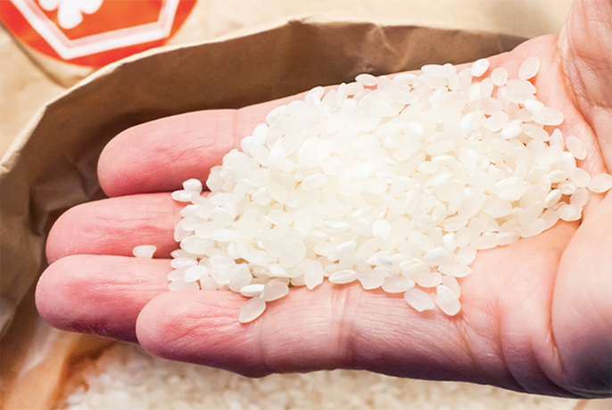 写真:米袋から精米後の米を手ですくっているイメージ