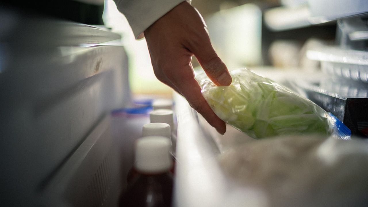 冷蔵庫から野菜を取り出す様子の写真