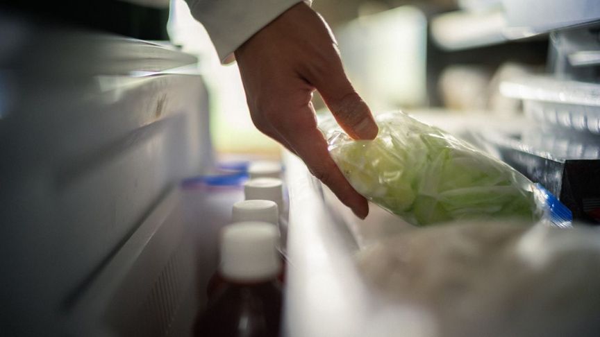 冷蔵庫から野菜を取り出す様子の写真