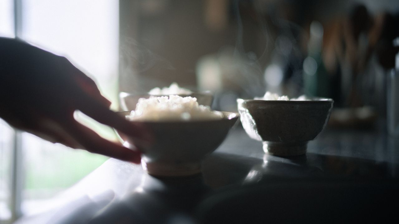 お茶碗によそった炊き立てのご飯の写真