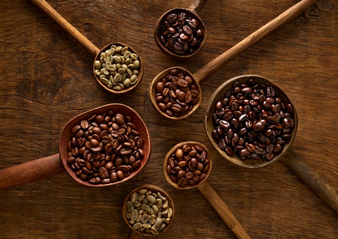 写真：いろんなサイズの木のスプーンにいろんな種類のコーヒー豆が入ってるイメージ