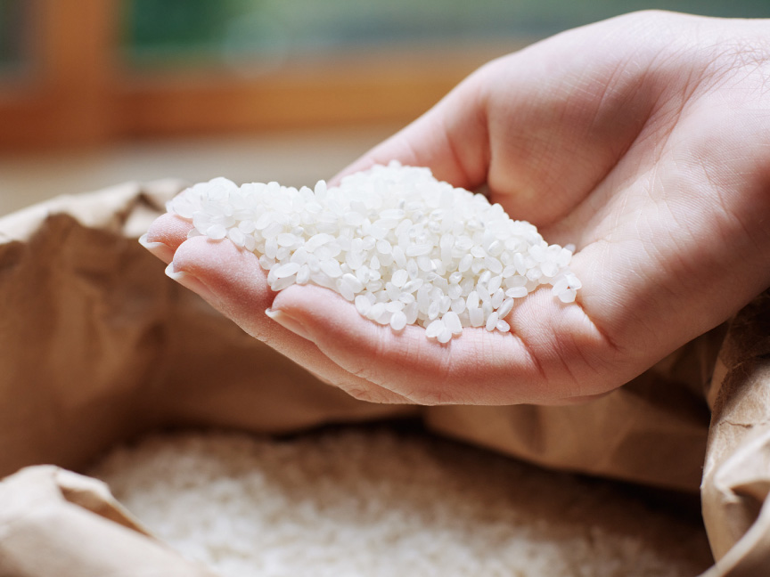 写真：手のひらに乗せた白米の生米
