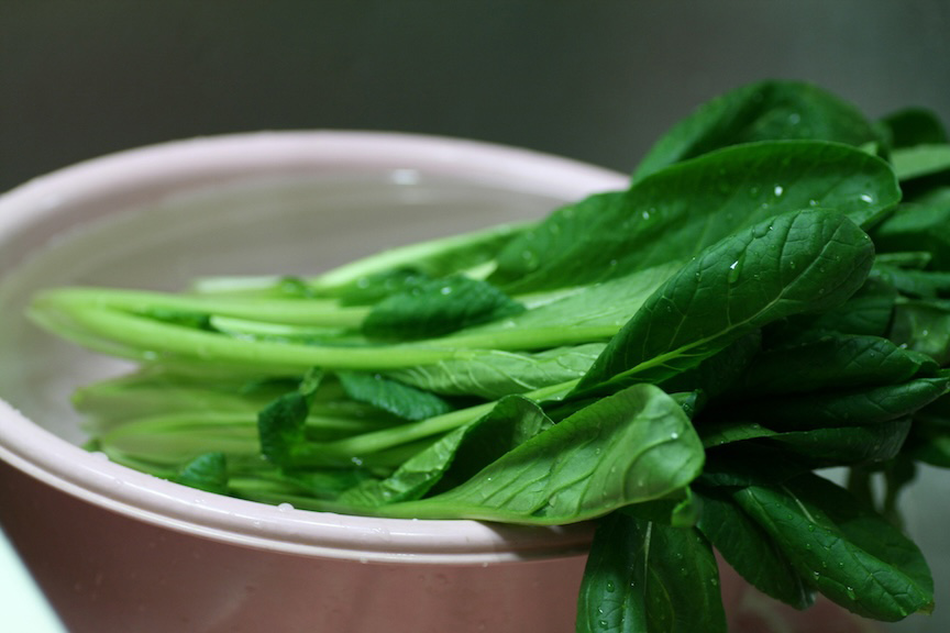 写真：水につけたほうれん草