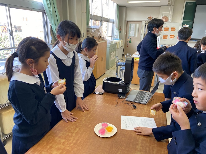 東京都文京区内の小学校で行われた授業の様子の写真