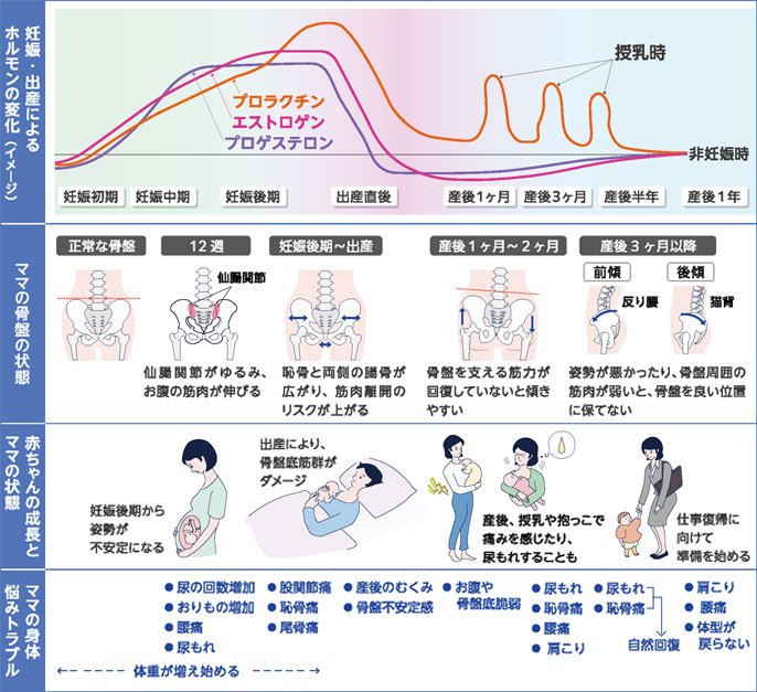 表：妊娠・出産によるホルモンの変化(イメージ)、ママの骨盤の状態、赤ちゃんの成長とママの状態、ママの身体悩みトラブル
