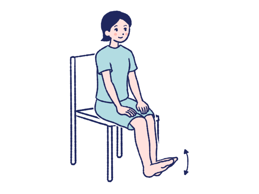 足首の上下運動のイラスト