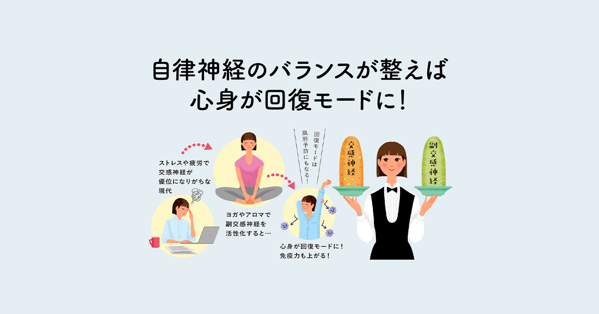 自律神経のバランスが整えば心身が回復モードに！ ストレスや疲労で交感神経が優位になりがちな現代 ヨガやアロマで副交感神経を活性化すると… 回復モードになれば風邪予防になる！ 心身が回復モードに！免疫力も上がる！ 交感神経 副交感神経