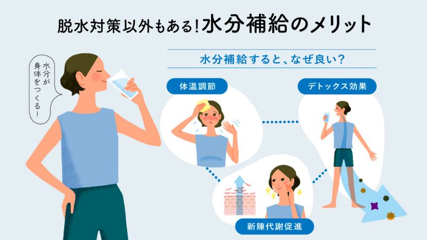 脱水対策以外もある！水分補給のメリット 水分補給すると、なぜ良い？ 水分が身体をつくる！ 体温調節 デトックス効果 新陳代謝促進