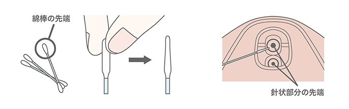 左：綿棒の先端　右：針状部分の先端