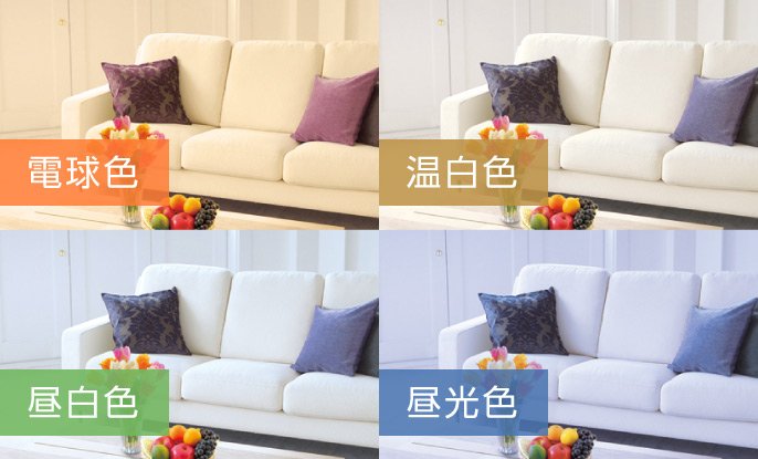 電球色 温白色 昼白色 昼光色
