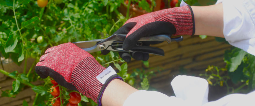 耐切創手袋（ストロングンテ）を使用している様子