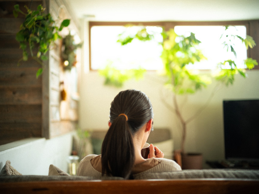 ソファに座る人物の後ろ姿と室内の観葉植物。