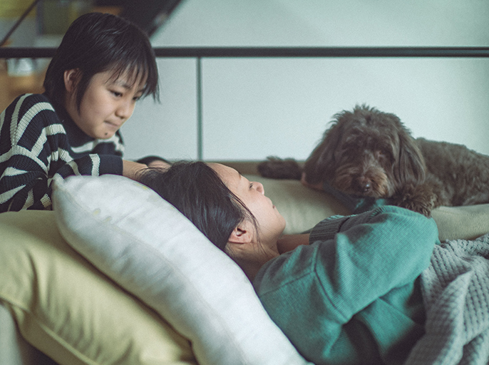 写真：犬と暮らす親子