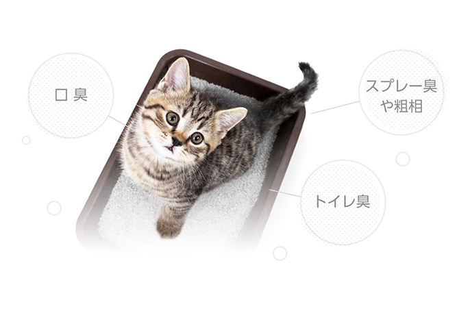 「口臭」「スプレー臭や粗相」「トイレ臭」の文字と猫用トイレを使っている猫の写真