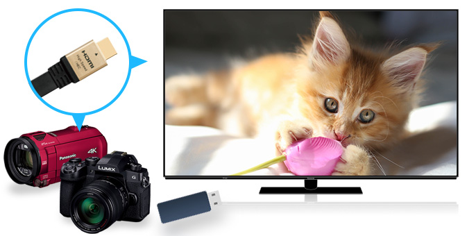 猫を映しているテレビとカメラの写真