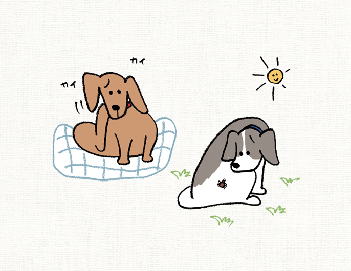 イラスト：かゆそうにする犬