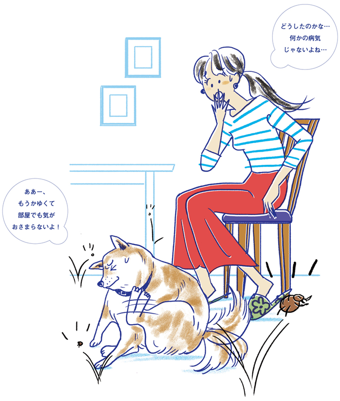画像：椅子に座った人物が、かゆそうに体をかく犬を見て心配している様子。犬は『もうかゆくて部屋でも気がおさまらないよ』と感じている様子で、人物は『何かの病気じゃないかな』と不安に思っている