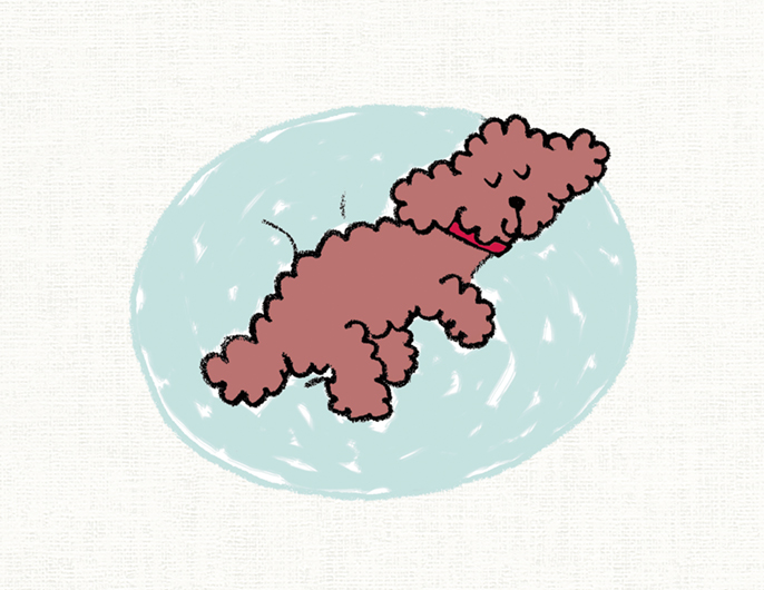 イラスト：すやすやと眠っている犬