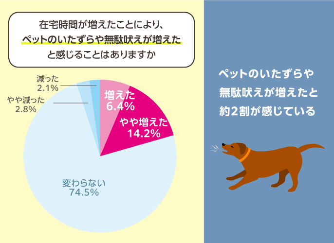 グラフ：「在宅時間が増えたことにより、ペットのいたずらや無駄吠えが増えたと感じることはありますか」アンケート結果