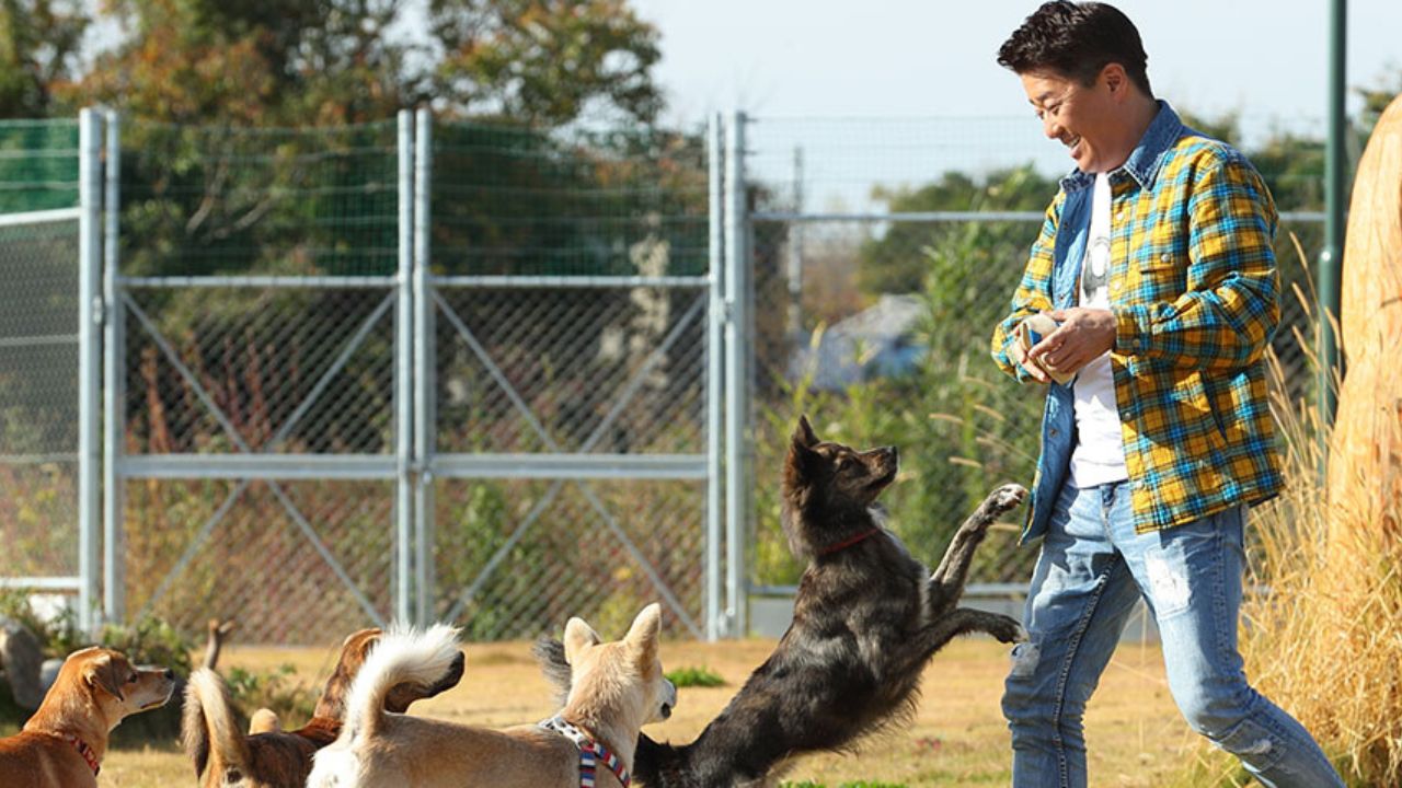 坂上忍さんと4頭の犬の写真