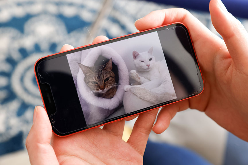 写真：スマホで写真を見ている様子