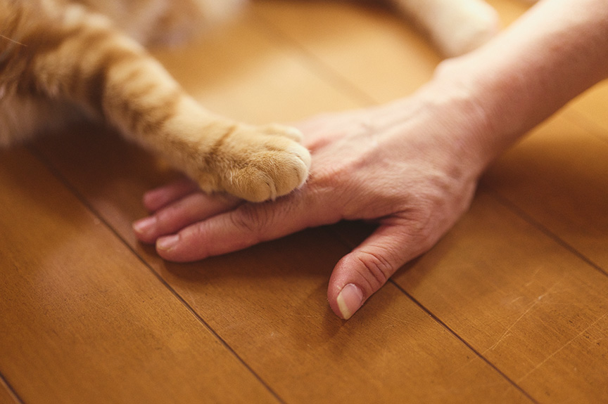 写真：手を重ねる陽くんと由美子さん