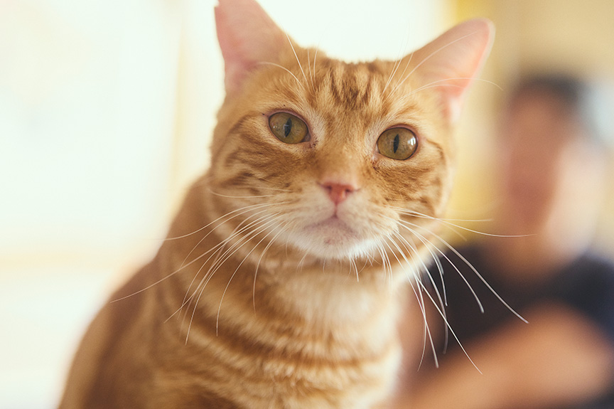 写真：おだやかな性格の陽くん