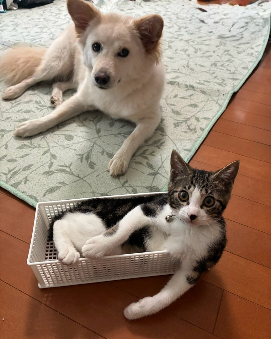 写真：ハニーちゃんとソラくん