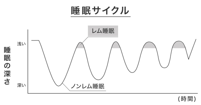 睡眠サイクルのグラフ:時間の経過と共にレム睡眠とノンレム睡眠を繰り返しながら、徐々に眠りが浅くなっていく