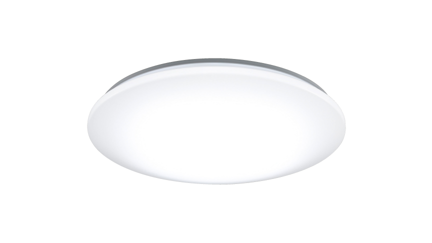 写真：プレーン