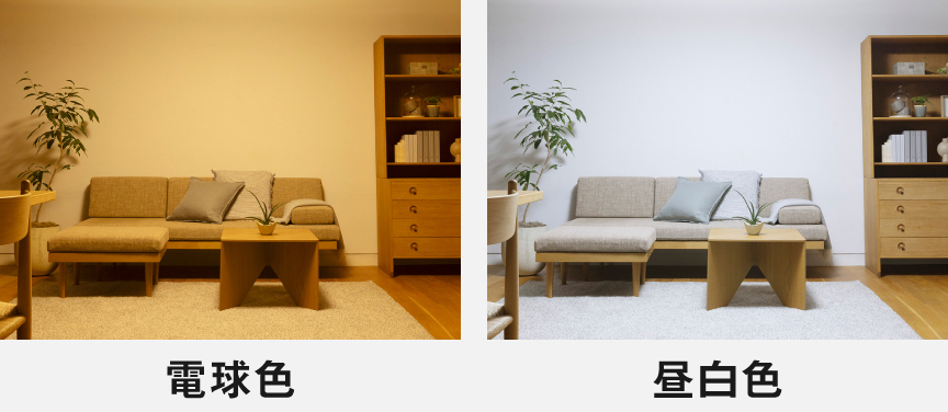 電球色と昼白色の比較イメージ