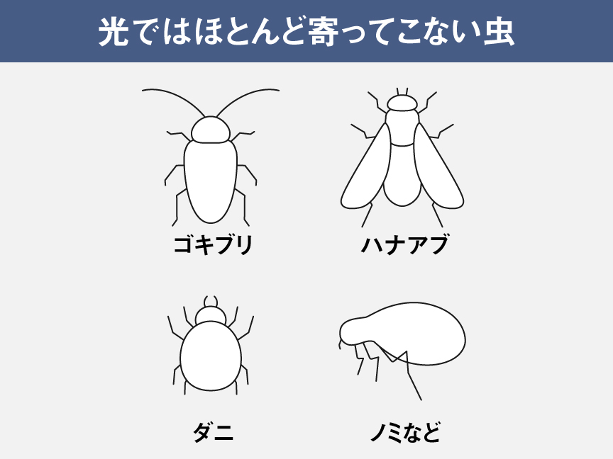 イラスト：光ではほとんど寄ってこない虫