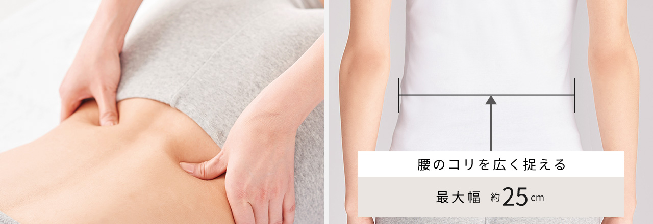 腰のコリを広く捉える 最大幅 約25cm