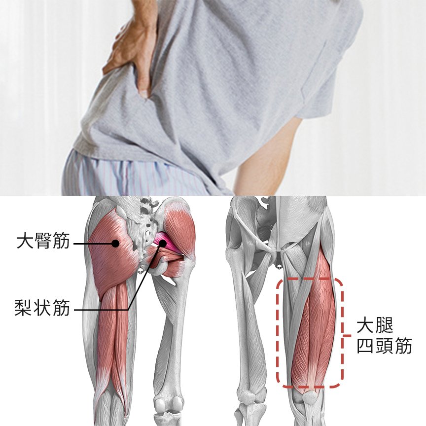 左側写真：右手で曲がった腰を抑えている様子 右側：大臀筋 梨状筋 大腿四頭筋 の場所を記したイラスト