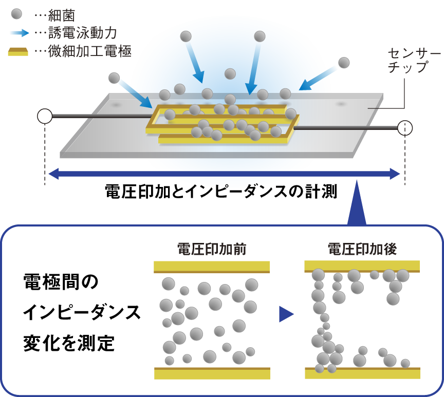 イラスト：DEPIMによる測定のしくみ