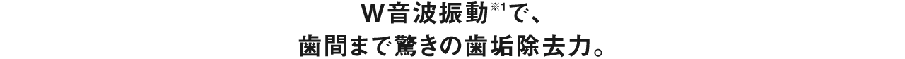 W音波振動※1で、 歯間まで驚きの歯垢除去力。