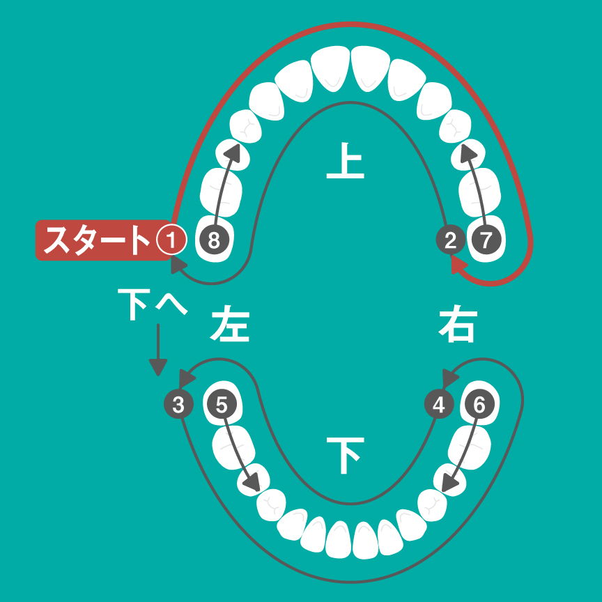 磨き順序​