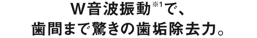 W音波振動※1で、 歯間まで驚きの歯垢除去力。